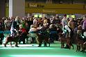 Crufts2010 1322